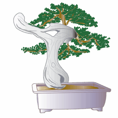 Humidity Tray - 30cm