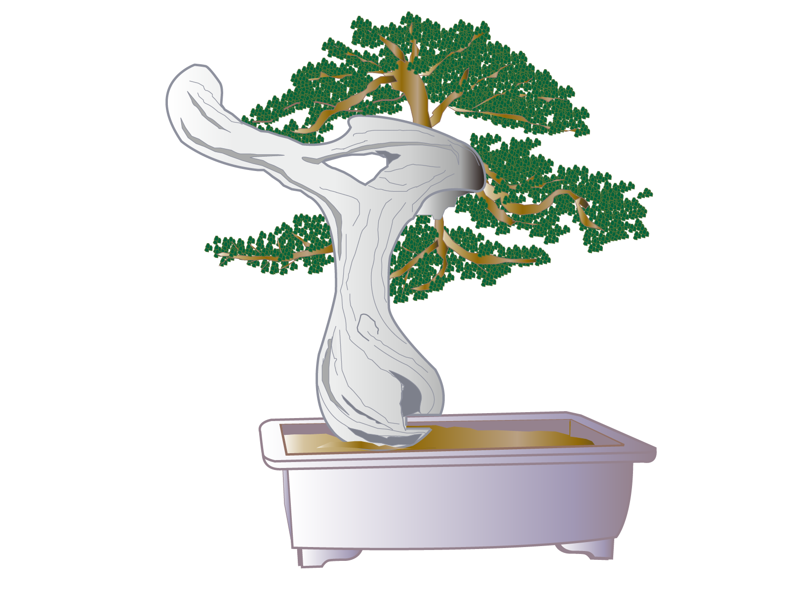 Humidity Tray - 30cm